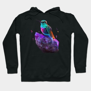 Psychedelic Hummingbird and Space Crystals Hoodie